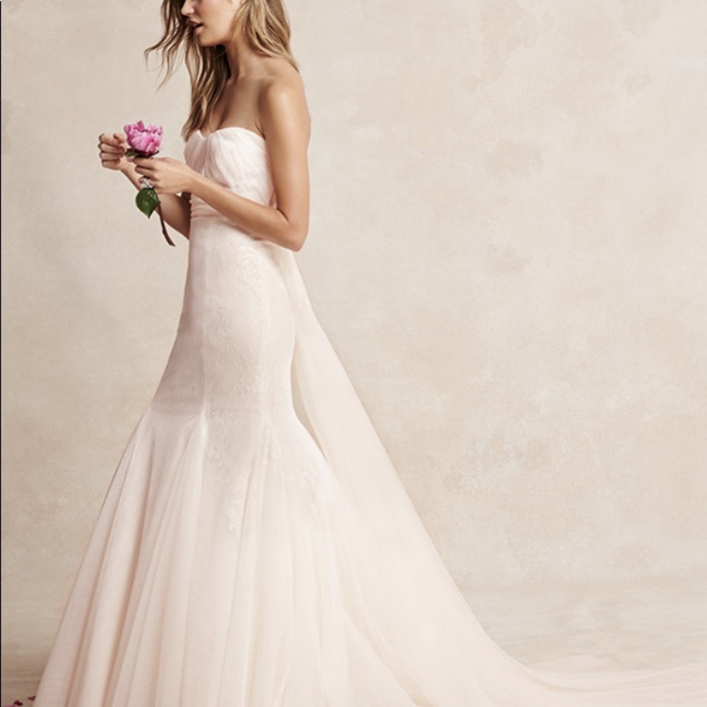 Monique Lhuillier (Bliss) Wedding Dress